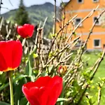 Ferienwohnung-mixnitz-baerenschuetzklamm 3 דירה
