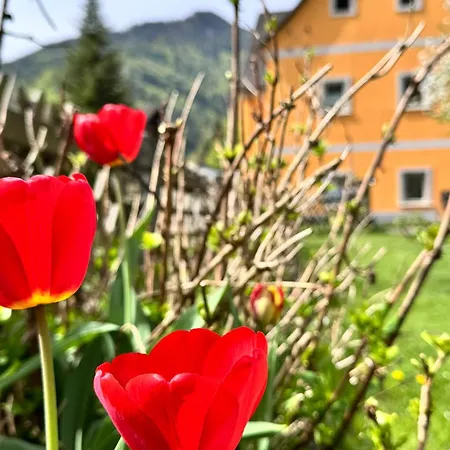 Ferienwohnung-mixnitz-baerenschuetzklamm 3 Apartamento