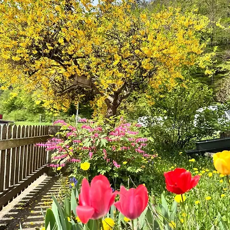 Ferienwohnung-mixnitz-baerenschuetzklamm 3