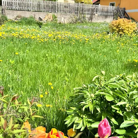 Ferienwohnung-mixnitz-baerenschuetzklamm 3 Appartamento Mixnitz