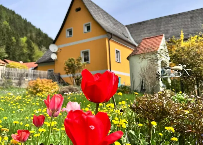 Ferienwohnung-mixnitz-baerenschuetzklamm 3 Daire *