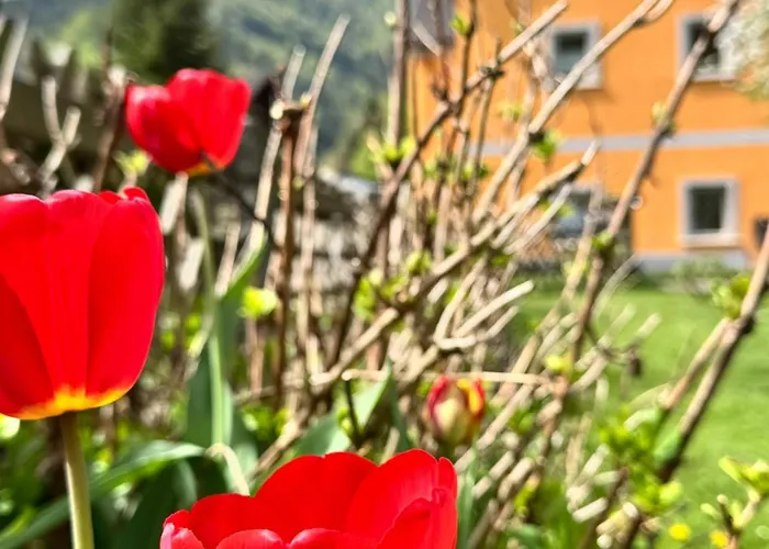 Ferienwohnung-mixnitz-baerenschuetzklamm 3 Daire