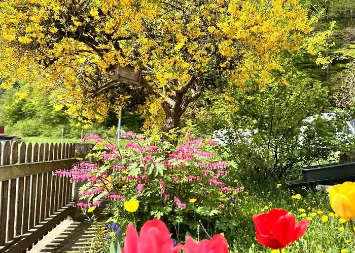 Ferienwohnung-mixnitz-baerenschuetzklamm 3