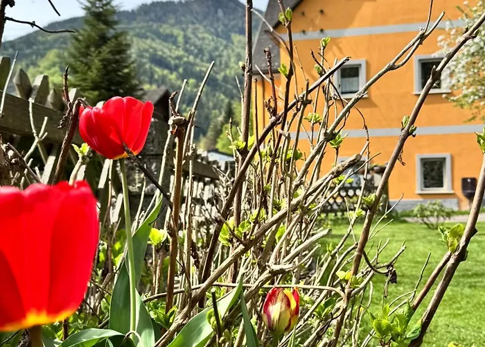 Ferienwohnung-mixnitz-baerenschuetzklamm 3 Daire