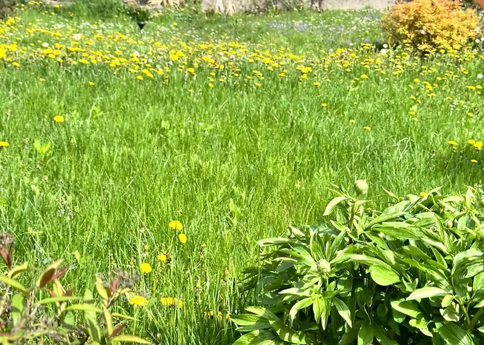 Ferienwohnung-mixnitz-baerenschuetzklamm 3 Daire Mixnitz